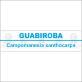 Guabiroba 